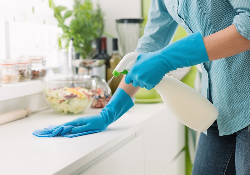 Woodinville Housekeeping Services Woodinville Housekeeping Service