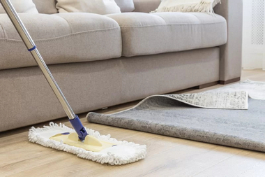 Reliable Magnolia housekeeping services in WA near 98199